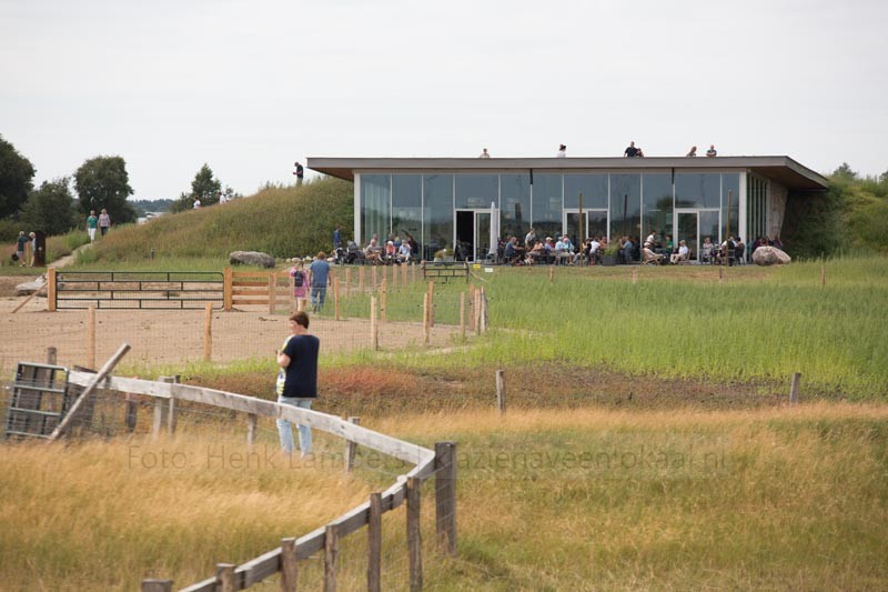 Schaapskooi Bargerveen 2018 bij Wollegras