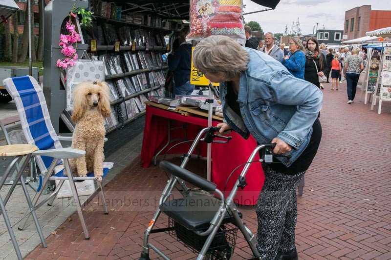 Jaarmarkt Erica 2018