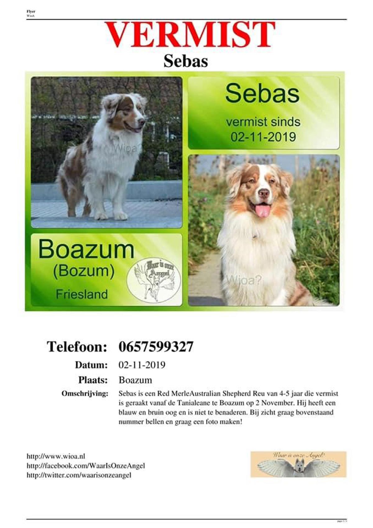 Sebas-hond-vermist