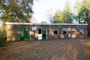 Postduiven-Snelvlucht-Broekweg