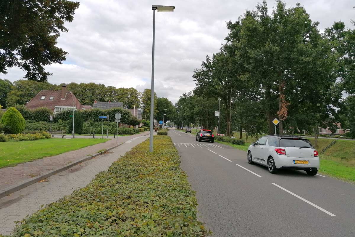 Van_Echtenskanaal-Boterbloem