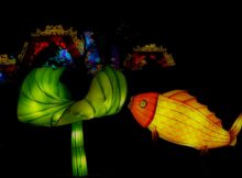 ChinaLights_2022-06791W