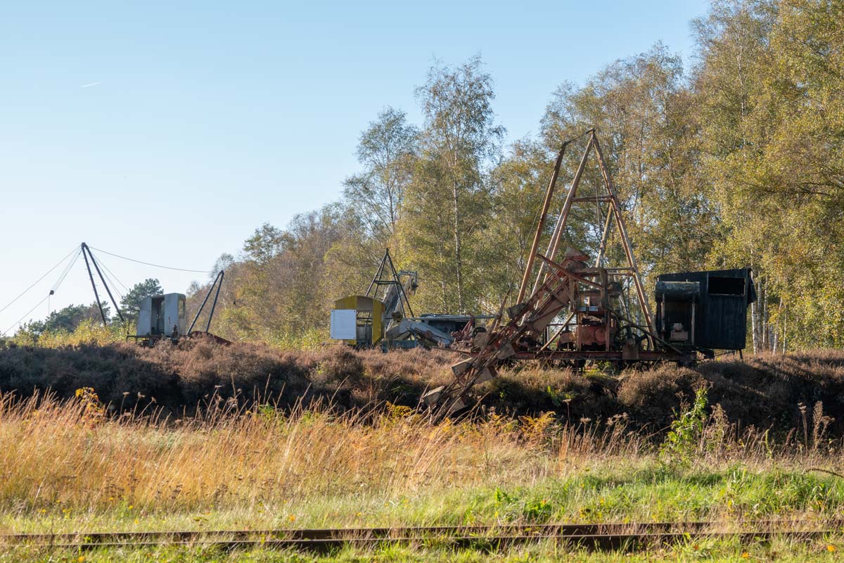 Bruin_Goud_MSL06438W