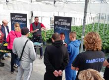 Kunstindekas_2022- (6)