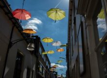 paraplus-MSL02624web