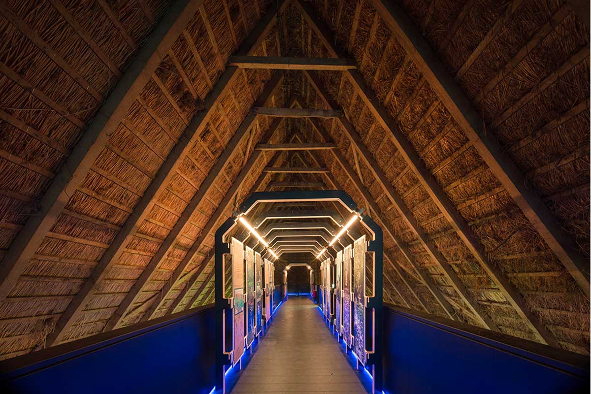 2023-06-Bruntingerhof-Foto-Sake-Elzinga-Het-Drentse-Landschap-(2)-(002)