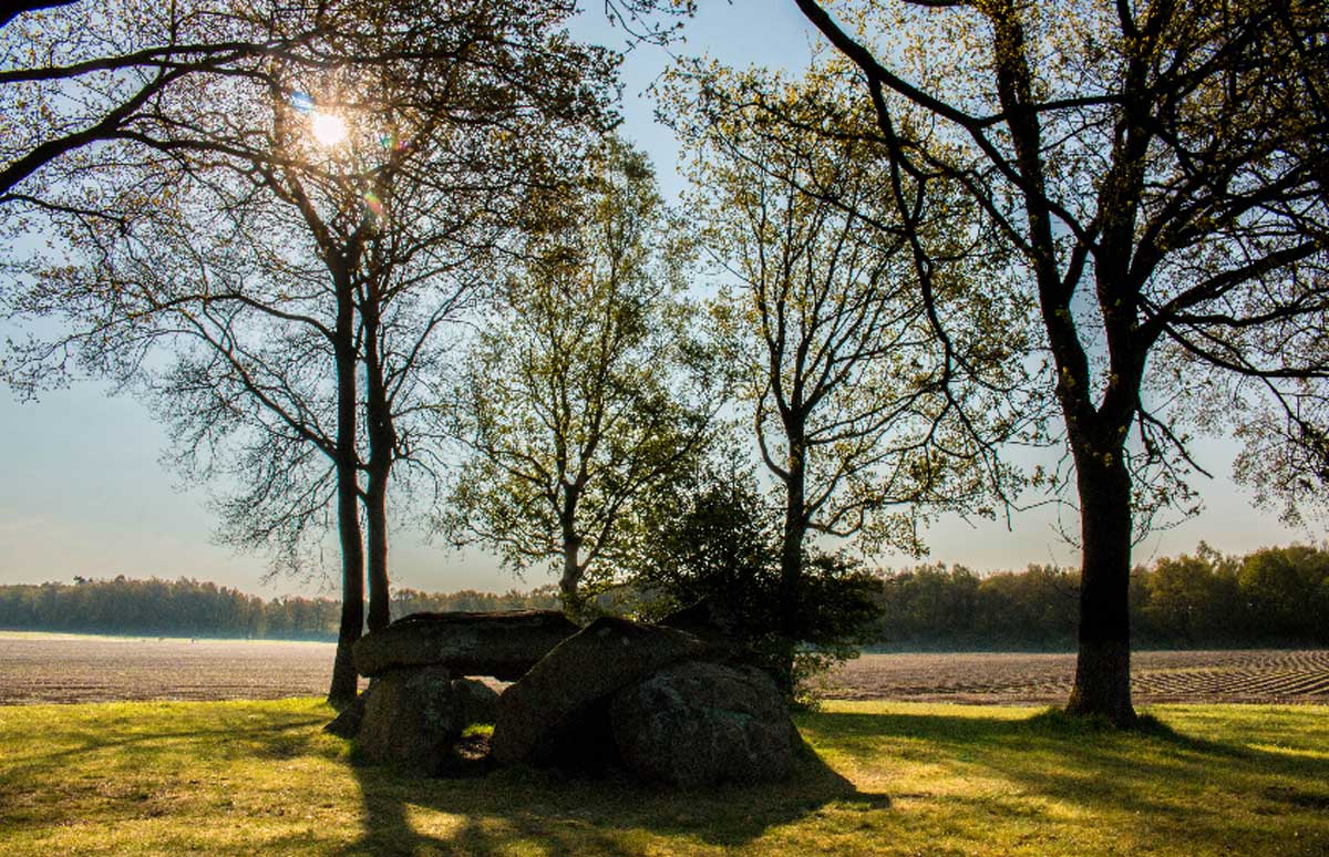 D29-Foto-Hunebedcentrum-Davado-(002)