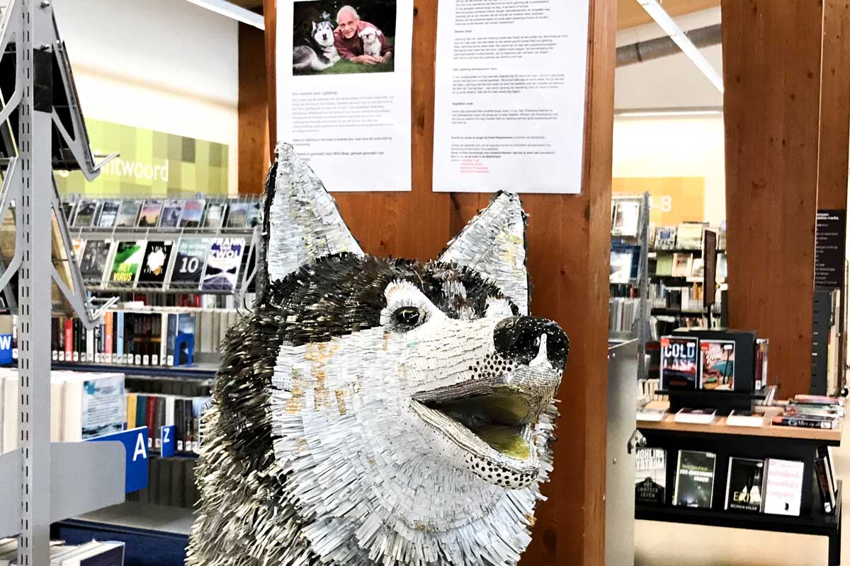 Lightning---Wim-Boer