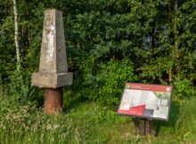 Bargerveen-P1010310web