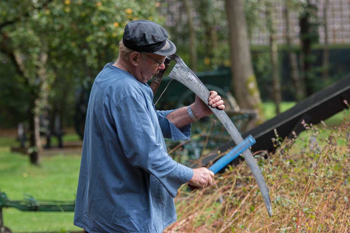 Boekweitboer-2016__0062