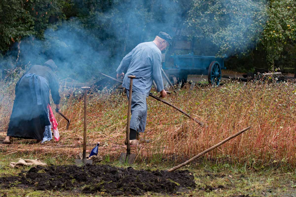Boekweitboer-2016__0070