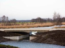 Bargerveen-MSL_7316