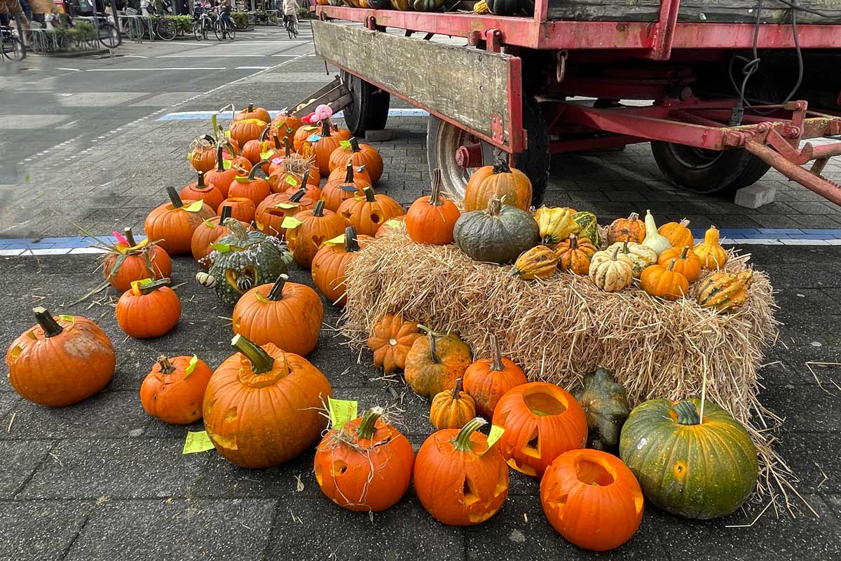 herfstmarkt2023_0712_1web