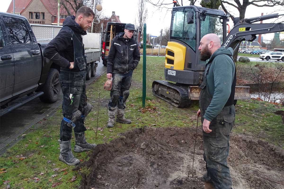 schultehoveniers-3web