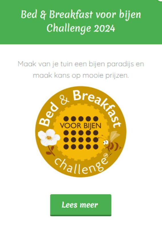 bijenhotel_wedstrijd
