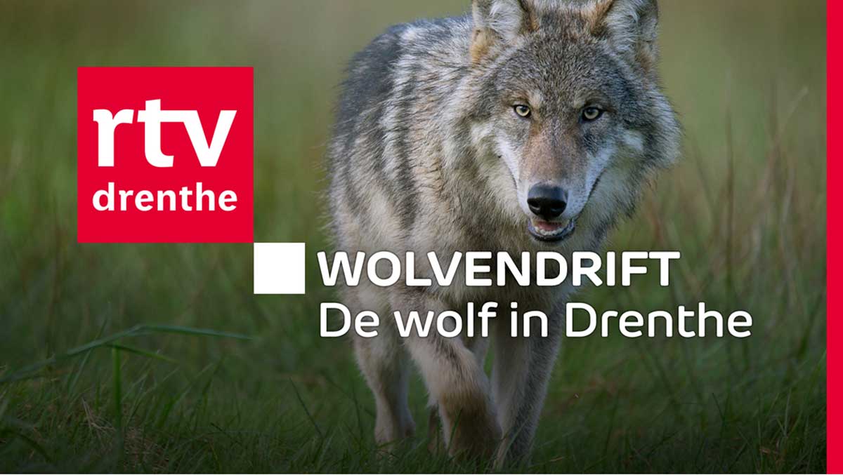 wolvendrift-RTV-Drenthe