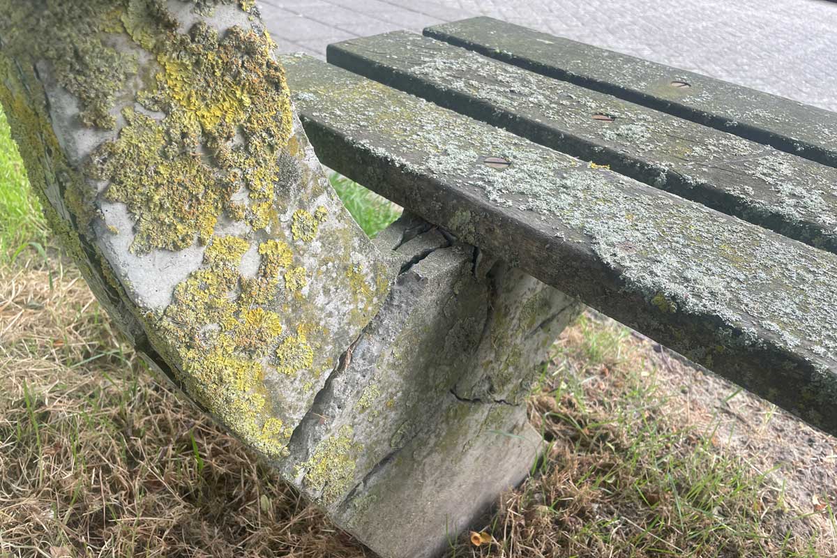 Boterbloem-bankje-(1)