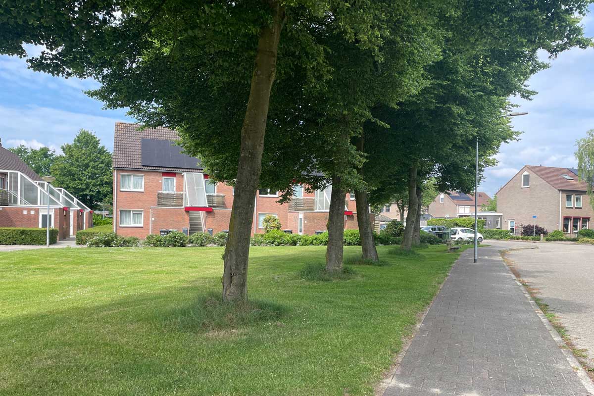 Boterbloem-bankje-(2)