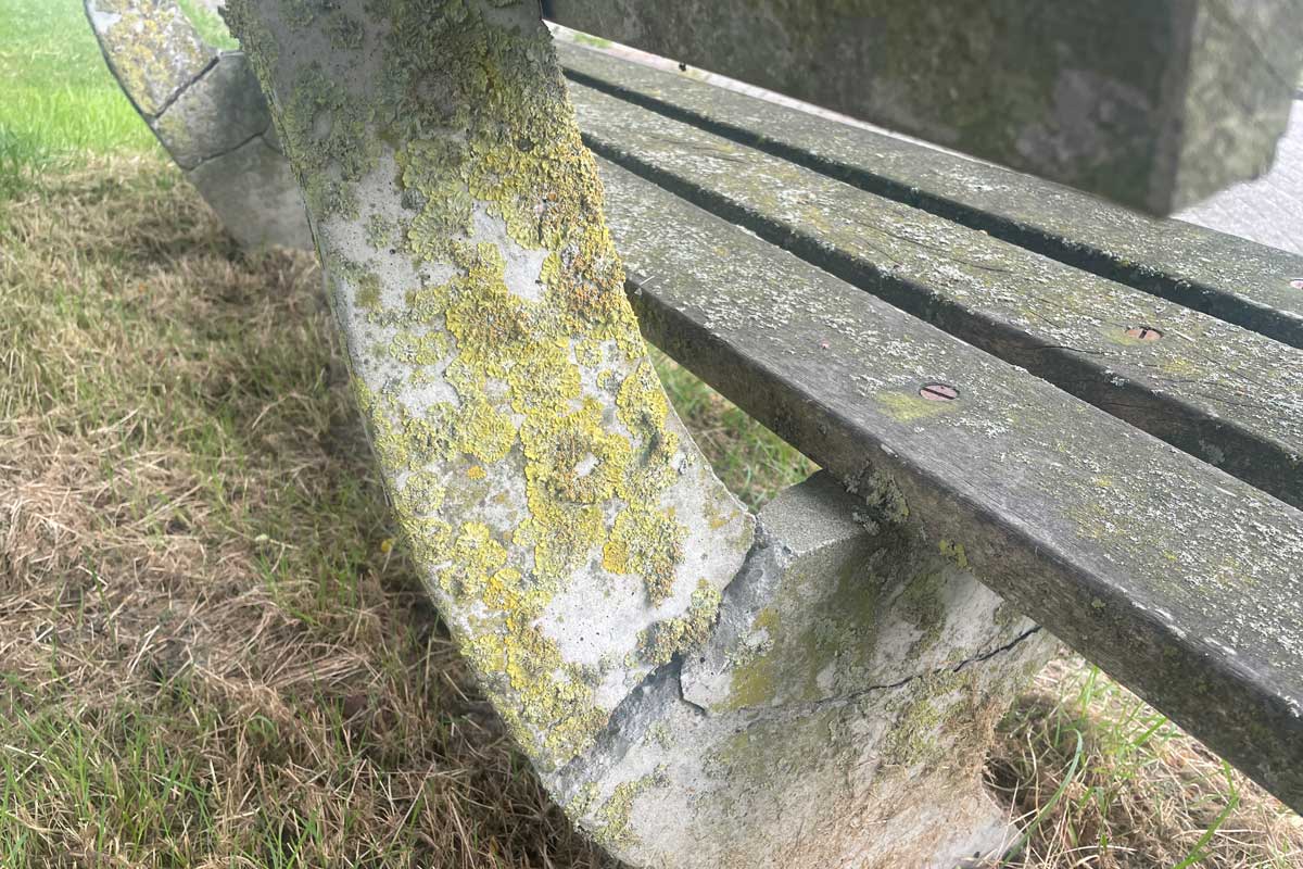 Boterbloem-bankje-(8)