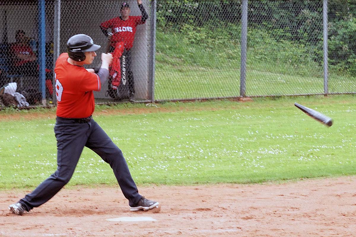 6 Gebrolen knuppel DSC03146