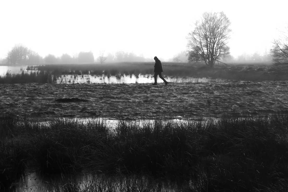 Bargerveen_100_1215ZWW