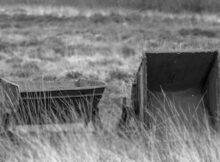 Veenkarren_MSL6053Web-Mono