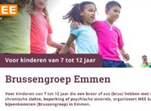 brussengroep-emmen