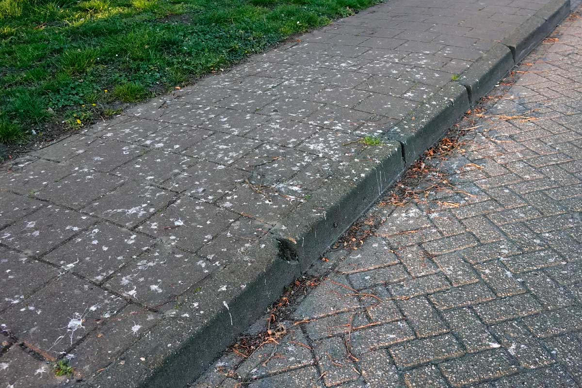 Roeken-troep-op-de-stoep_FHL6354