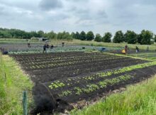 Voedseltuin-Emmen-(7)web