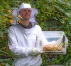 Wespennest-verplaatsen-2025