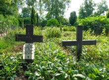 Hoogveenkerkhof-Barger-Compascuum-(26)web