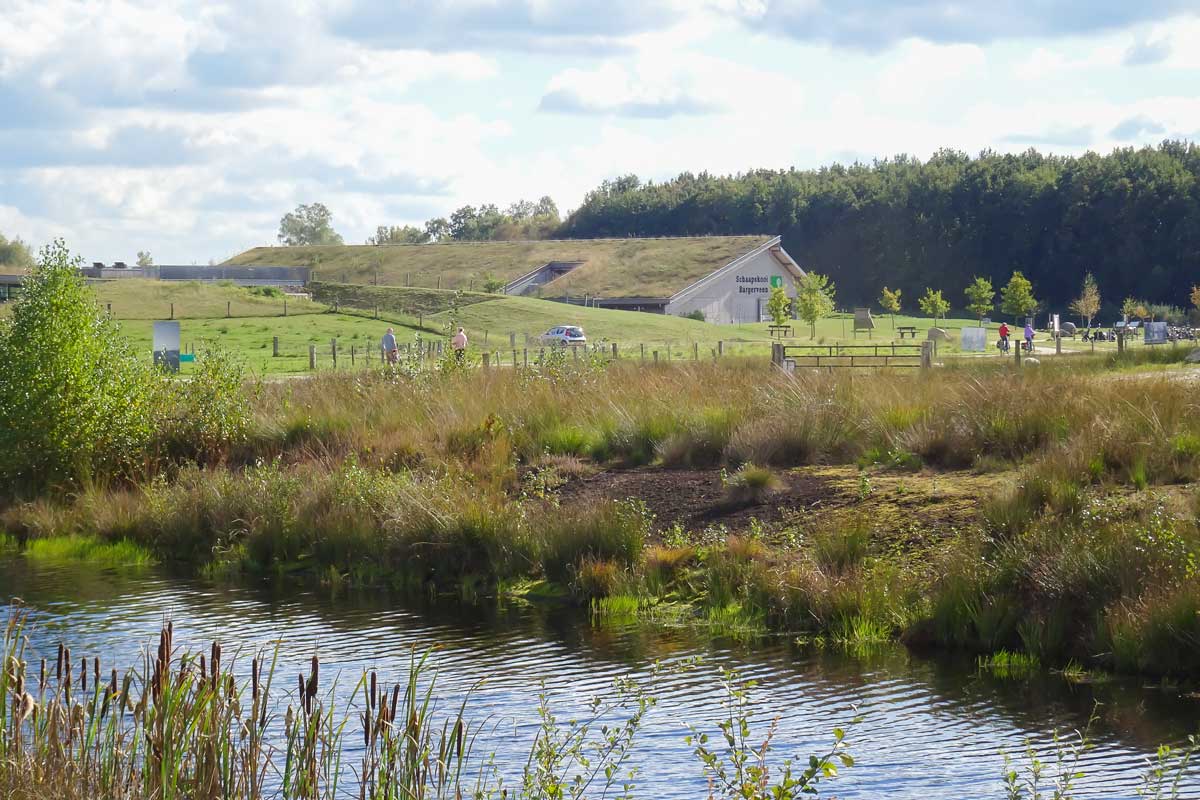 Schaapskooi-Bargerveen-DSC02024web