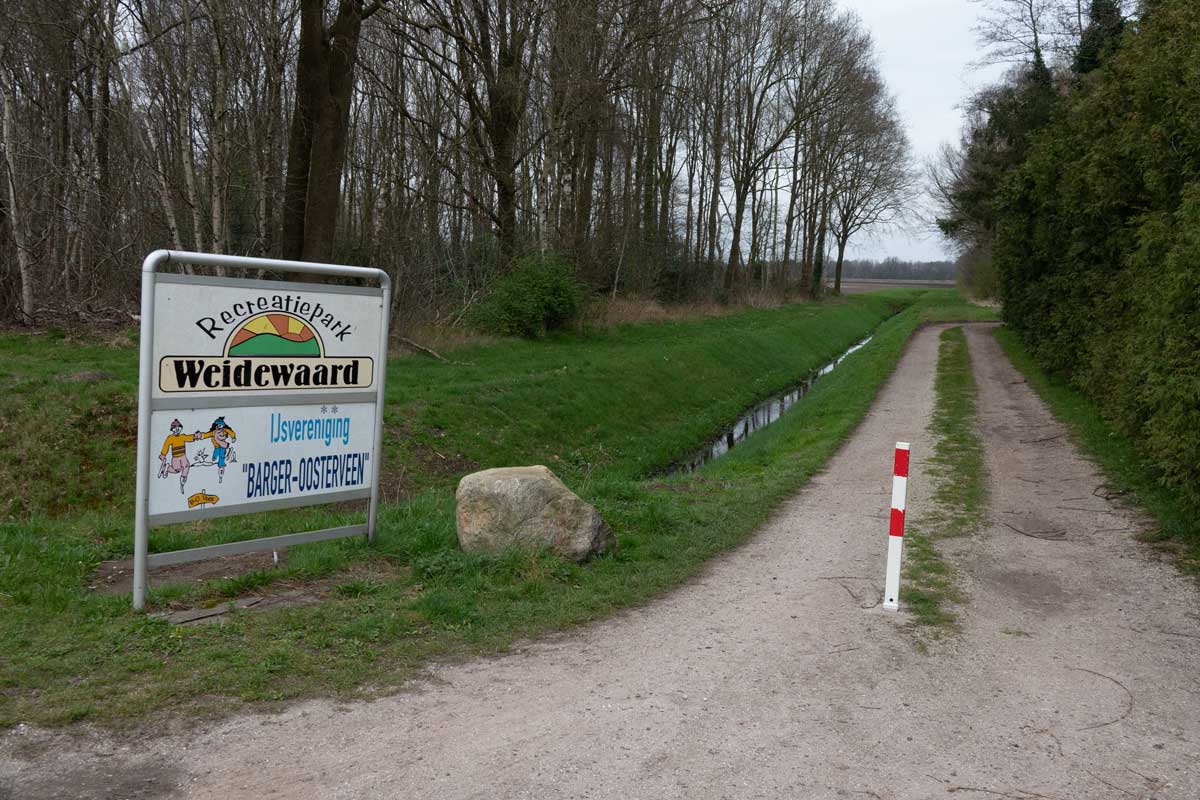 Weidewaard_MSL0764[1]