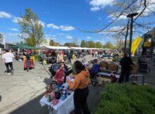 markt-Klazienaveen-26-04-2025-(1)