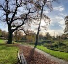 Savanne-Rensenpark-2025