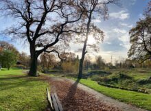 Savanne-Rensenpark-2025