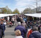 Koningsdag_2026-MSL01088W