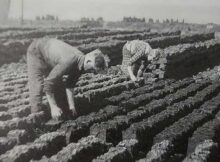 Foto-Veenarbeiders-3.Wjpg