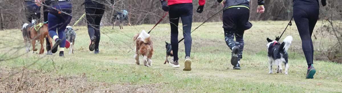 wandelen-honden