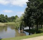 buitenwater-vijver-zwemwater