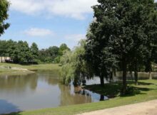 buitenwater-vijver-zwemwater