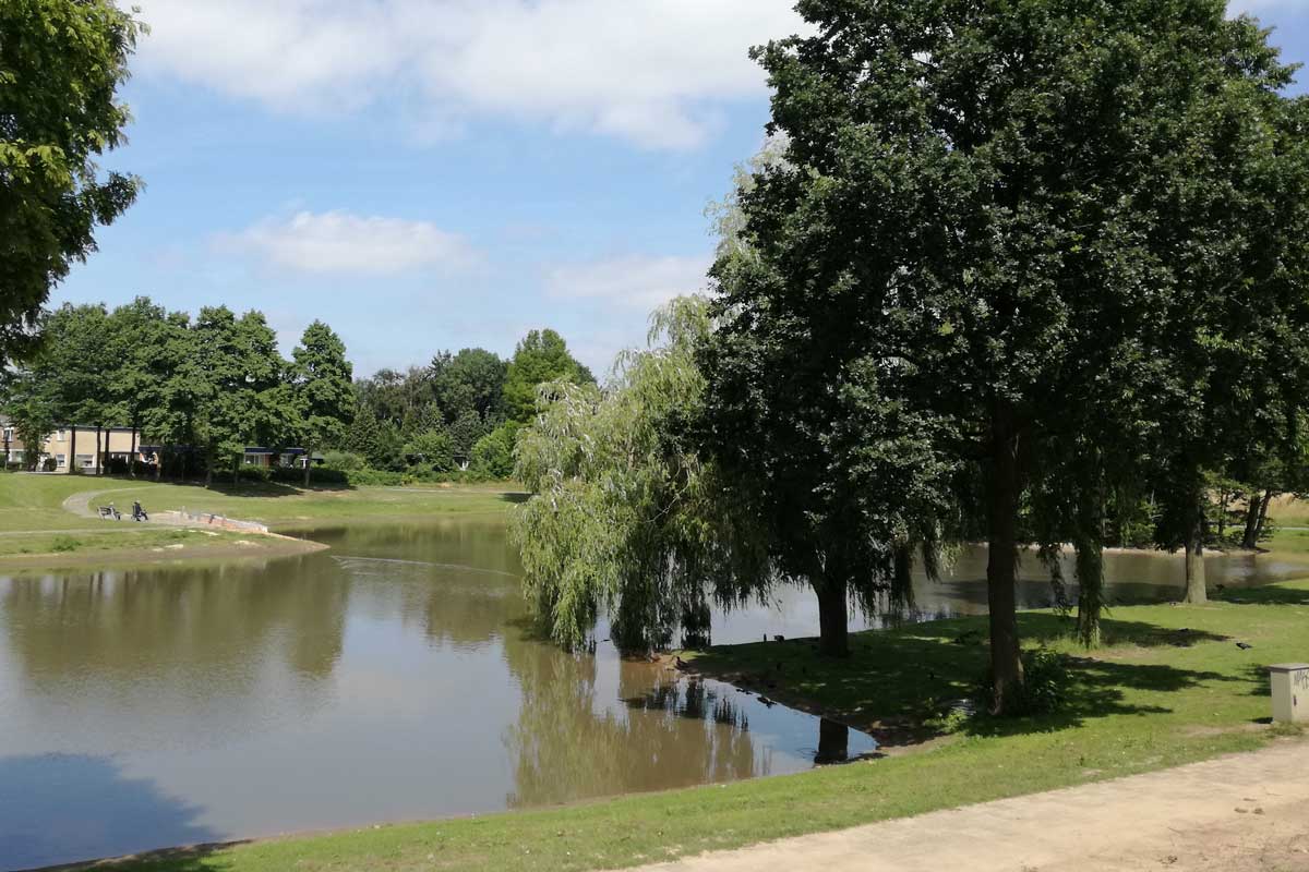 buitenwater-vijver-zwemwater