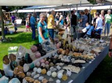 oertijdmarkt-hoofdfoto
