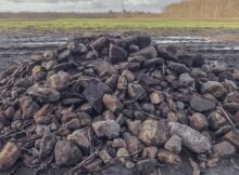 archeologische-vondsten