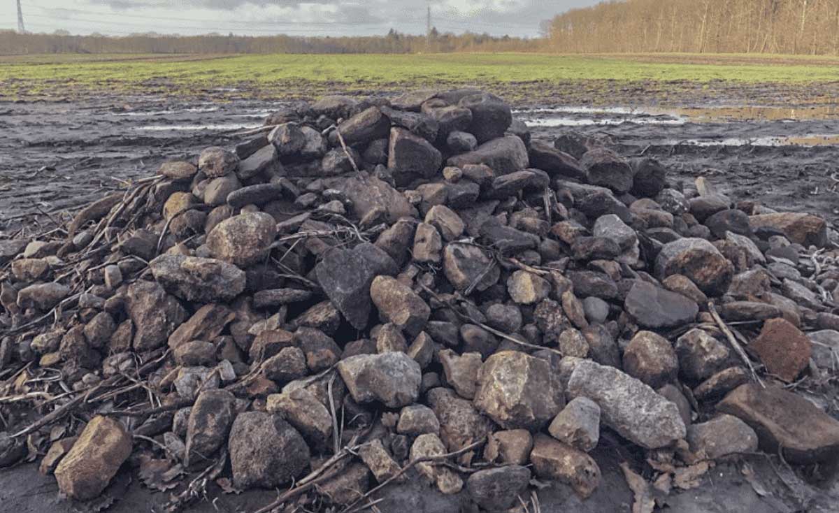 archeologische-vondsten